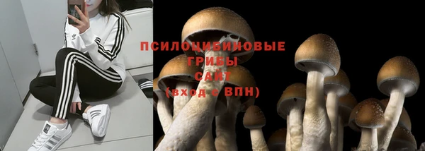герыч Алексин