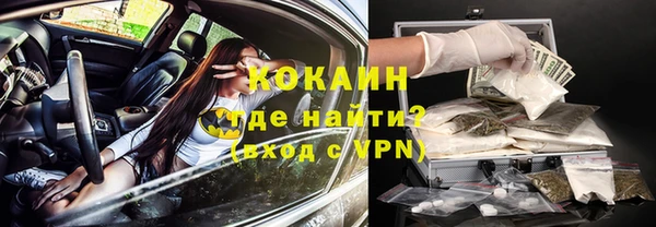 молекула духа Алексеевка