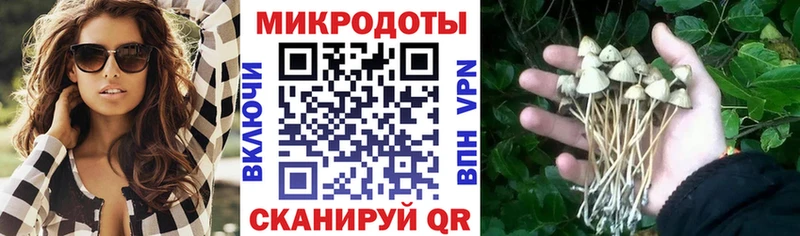 Псилоцибиновые грибы Cubensis  Любань 