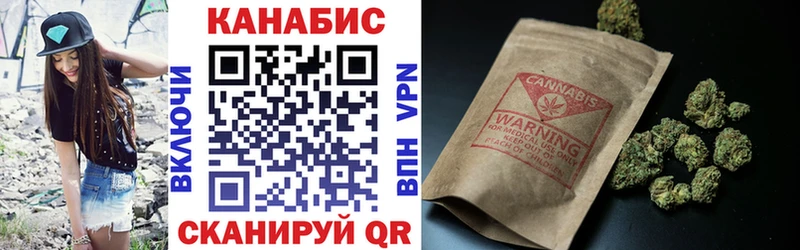 Конопля гибрид  Любань 